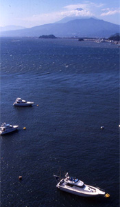 fuji